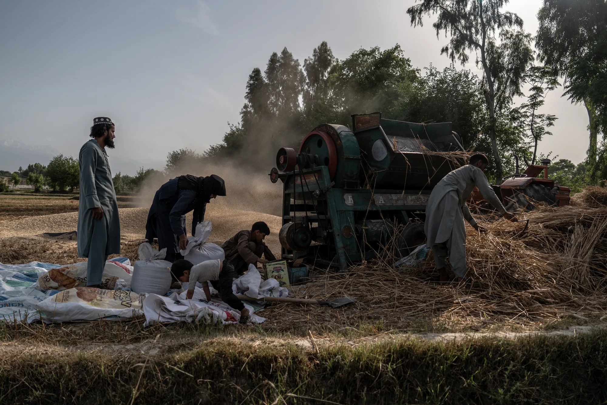 For years, floods threatened to wash away crops before they could be harvested. In eastern Afghanistan, riverbanks strengthened through cash-for-work initiatives are helping protect farmland, allowing families to harvest wheat and secure an essential source of food and income.