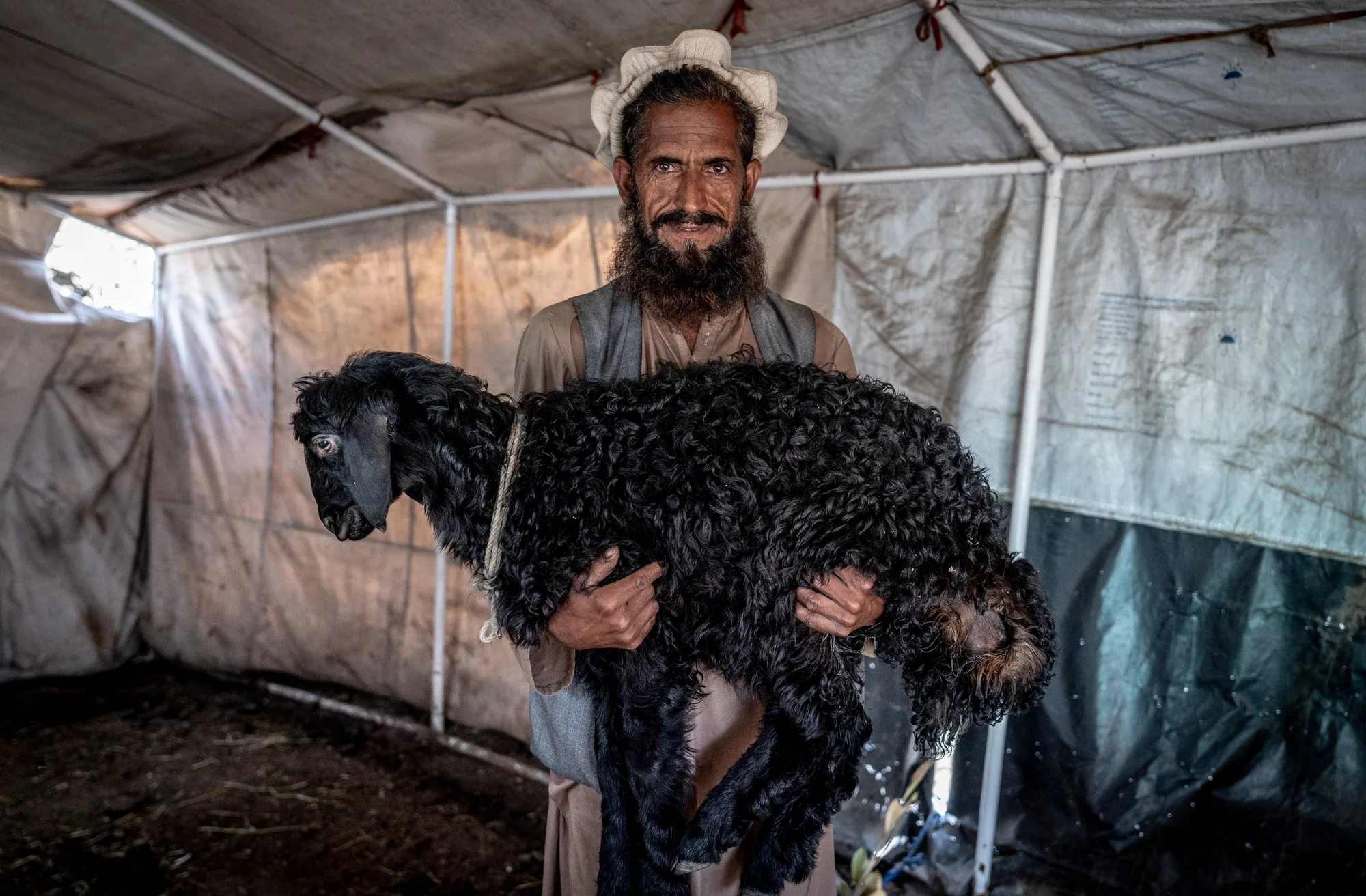 In Noorgal district, Nangarhar, Afghanistan, a farmer holds a goat that supports his family’s livelihood after the 2025 earthquake.