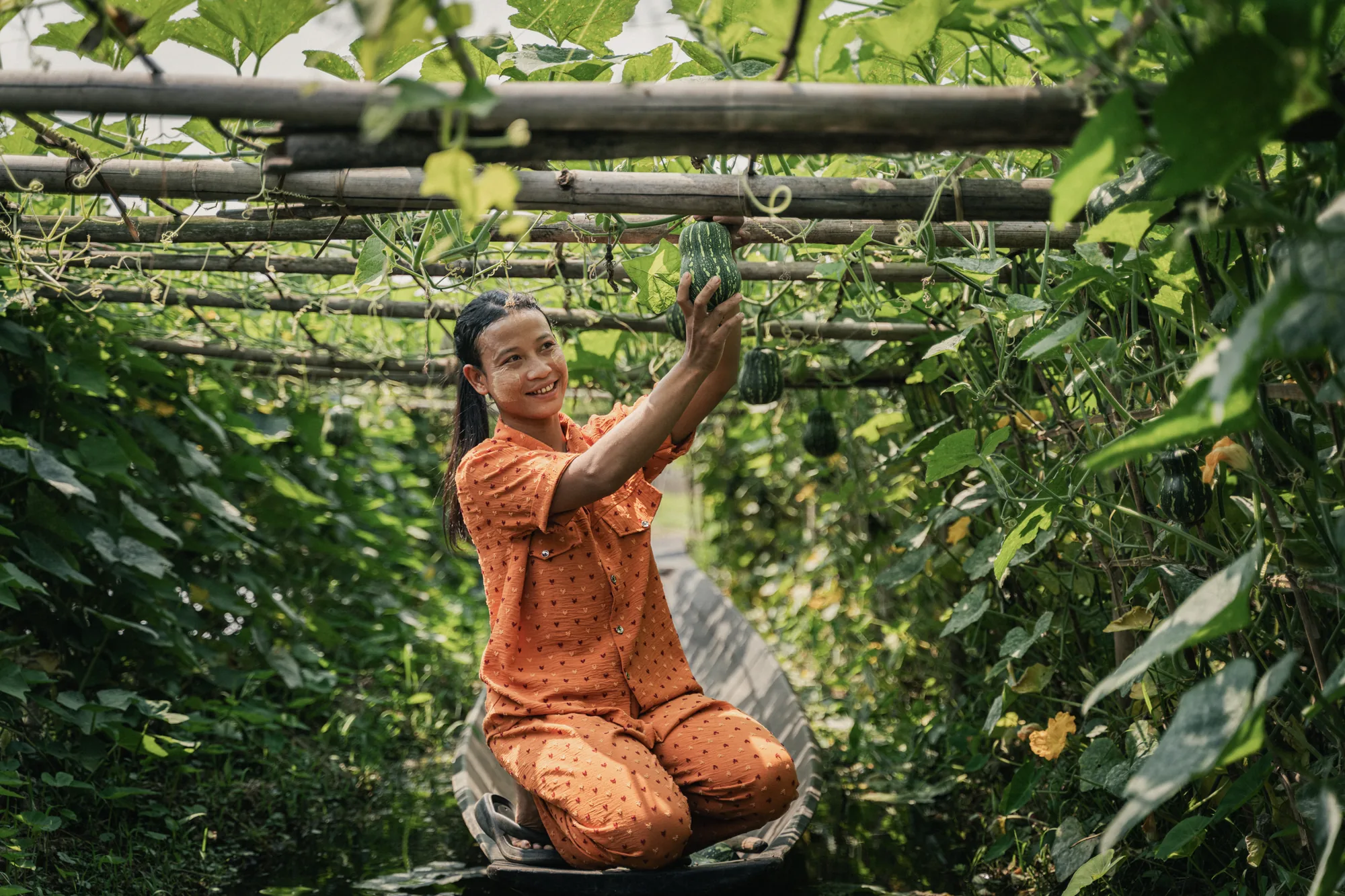 Khaing Thuzar harvests pumpkins from her floating garden on Inle Lake, Myanmar. After the 2025 earthquake disrupted livelihoods, she and other women in her community resumed crop production, restoring incomes while preserving the farming traditions that sustain life on the lake.